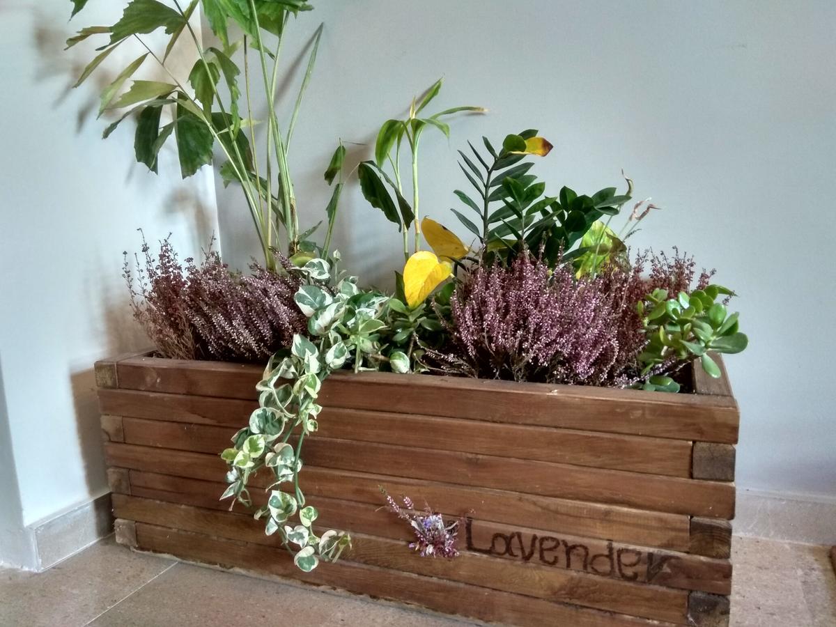Apartament Lavender Kalamata Zewnętrze zdjęcie
